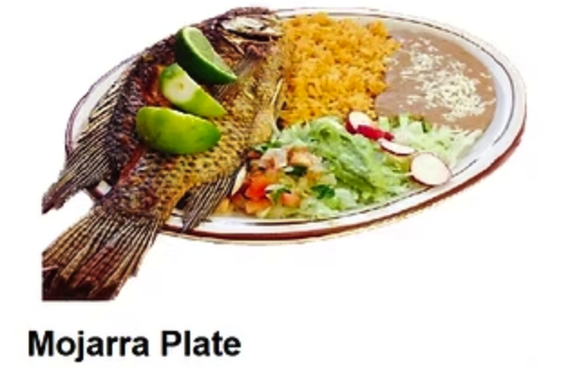 Mojarra Plate